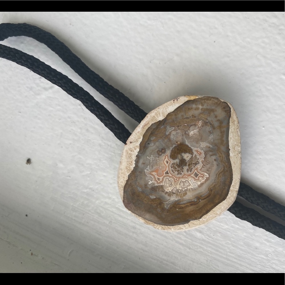 Petrified Wood Bolo Tie